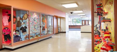 glass display cases with items from different cultures