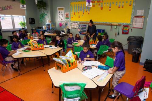 Students working in their activity books