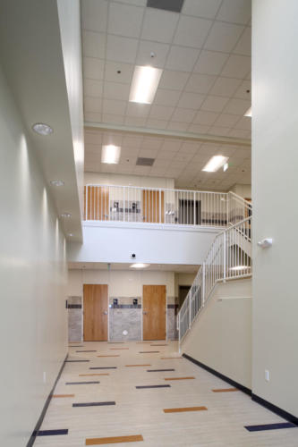 Davidson staircase levels